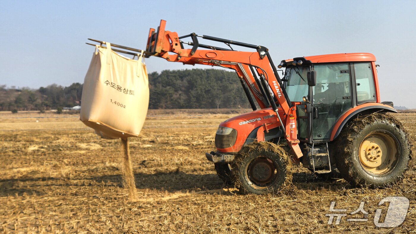 본문 이미지 -  12일 서산시가 흑두루미의 안정적인 서식 환경 조성을 위해 먹이를 제공하는 모습(서산시 제공. 재판매 및 DB금지)2026.2.13/뉴스1