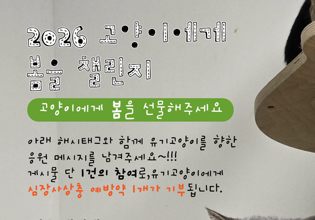 "고양이에게 봄을"…녹십자수의약품, 데피니트캣 기부 캠페인 전개