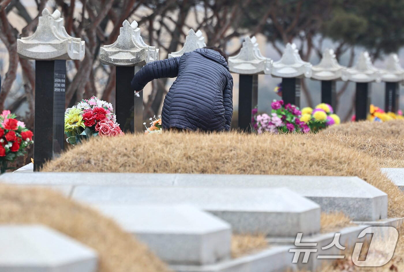 본문 이미지 - 설날을 닷새 앞둔 12일 인천 부평구 인천가족공원을 찾은 한 성묘객이 성묘하고 있다. 2026.2.13 ⓒ 뉴스1 김도우 기자