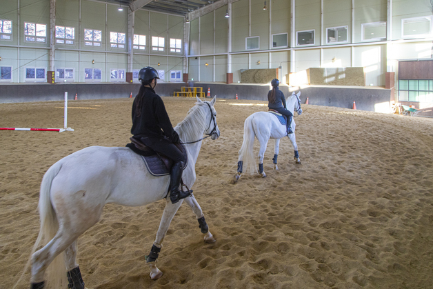 말과 즐거운 하루…"병오년 설 연휴, 경기도에서 활력 재충전 하세요"