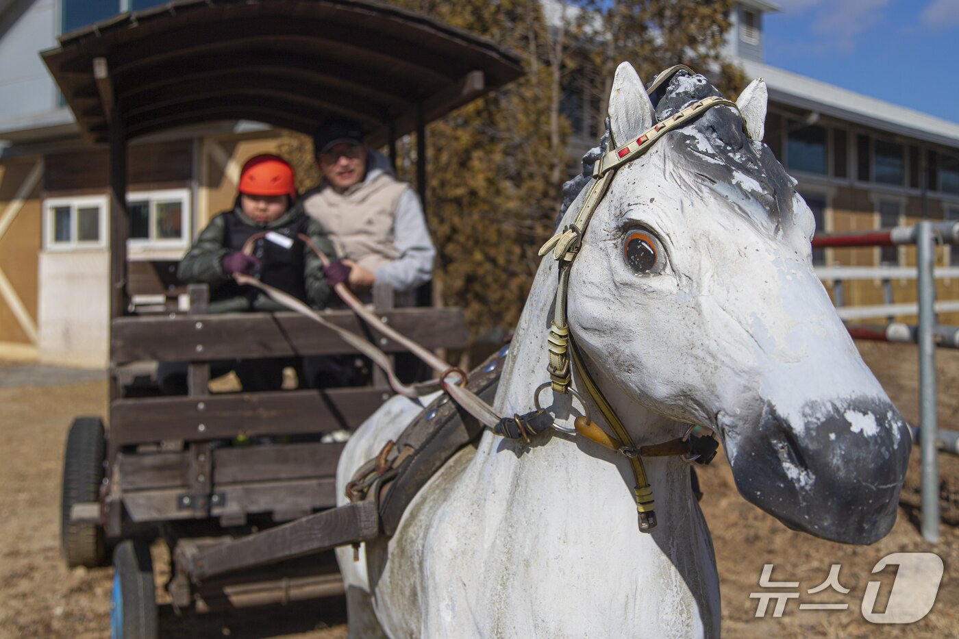 본문 이미지 - 어린이들에게도 최적인 '화성 궁평캠프'.(경기관광공사 제공. 재판매 및 DB금지)/뉴스1