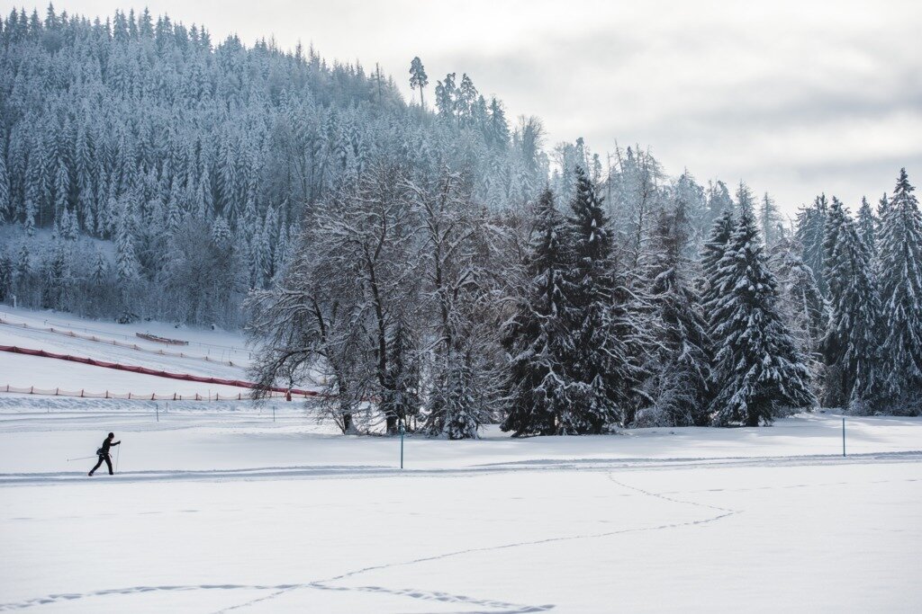 본문 이미지 - 추베르크 설원 트레일(스위스관광청 제공)