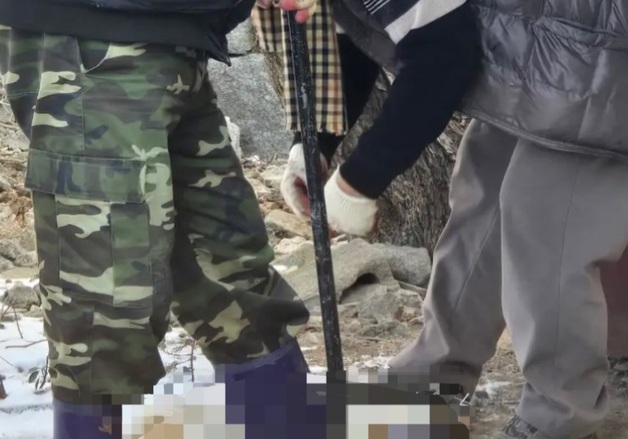 "잘 키우겠다"…공공기관서 반려견 입양 후 잡아먹은 70대