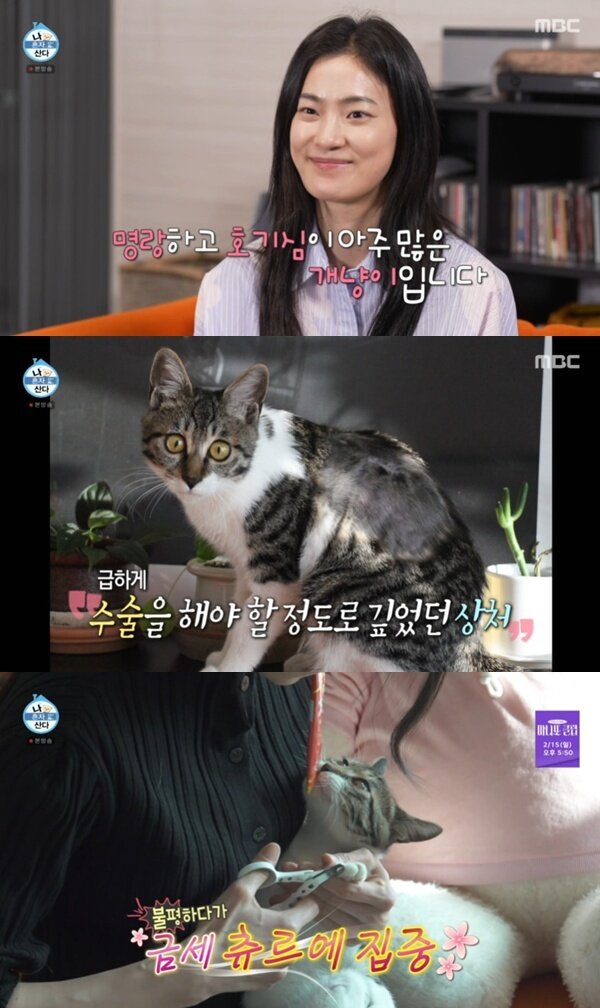 본문 이미지 - MBC '나 혼자 산다'