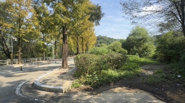 바리케이드는 옮겼지만 풀숲은 그대로…방마마을 진입로 착공 언제?