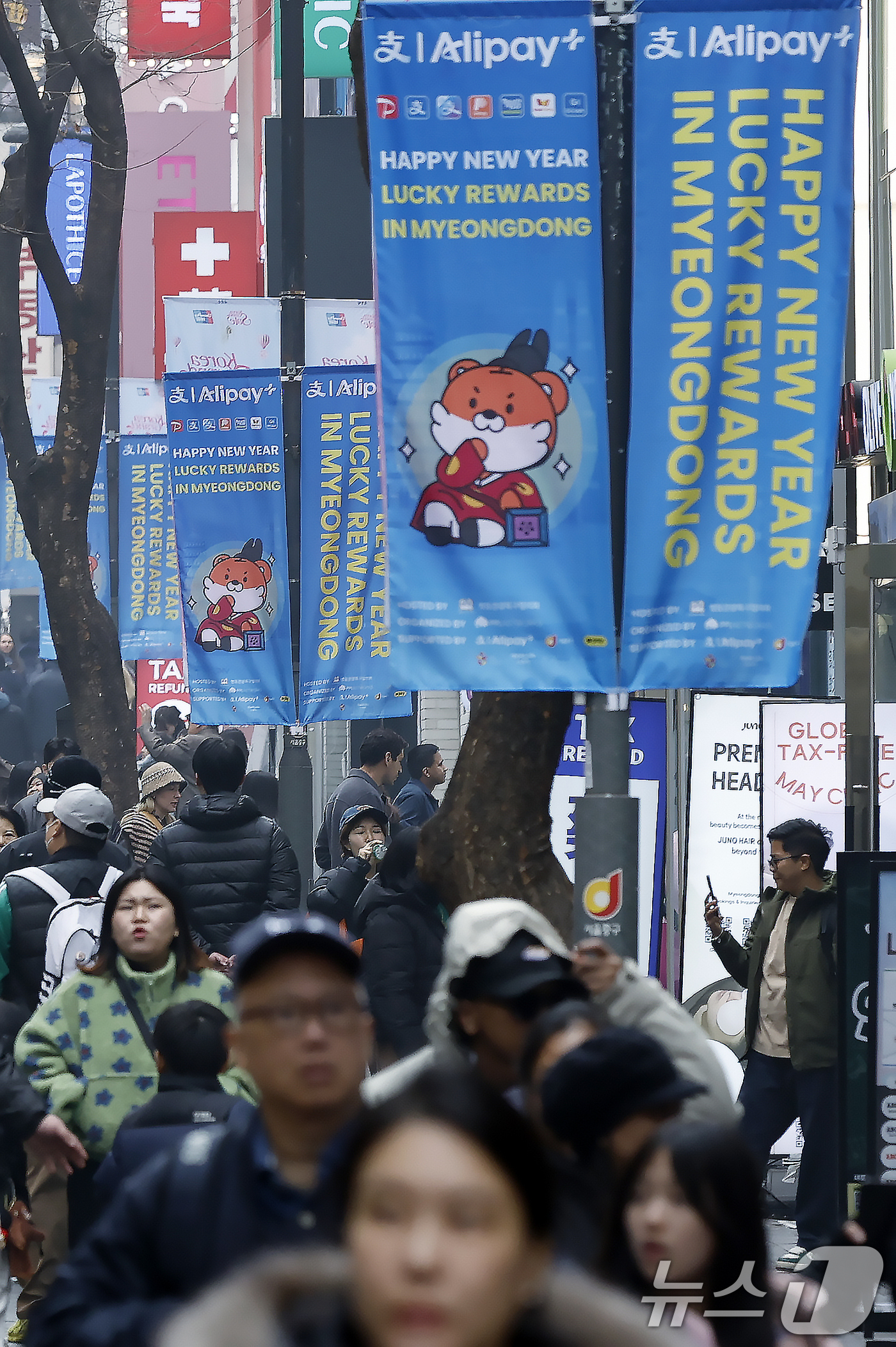 (서울=뉴스1) 박정호 기자 = 중국 춘절 연휴(15~23일)를 맞아 한국에 들어오는 중국인 관광객이 증가할 것으로 예상되는 가운데 14일 오후 서울시 중구 명동 거리에 중국 알리 …