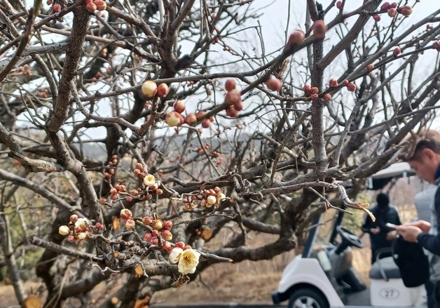 [오늘의 날씨]경기(17일, 화)…아침 영하권, 낮에도 바람 불어 쌀쌀
