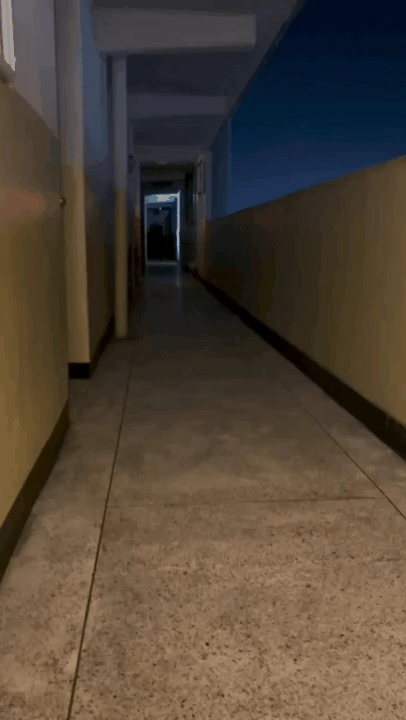 본문 이미지 - 문 열리면 집에 놀러 오는 옆집 강아지 '우유'(인스타그램podopodopo 제공) ⓒ 뉴스1