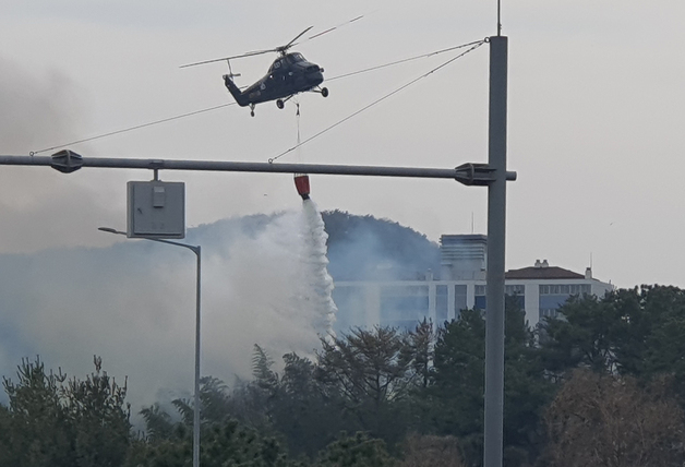 울산 대나무밭서 불…헬기 3대 투입 45분 만에 초진