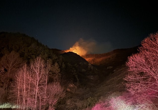 충남 금산 진산면서 산불…산림당국 진화중