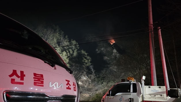 충남 서산시 산불 '대응 2단계'…행안부·소방청 총력 대응(종합)