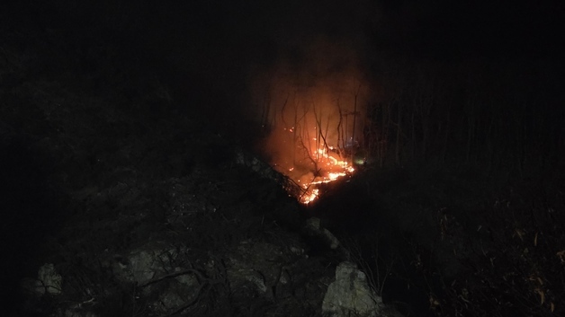행안부, 봄철 산불 총력 대응체계 가동…관계기관 대책회의 개최