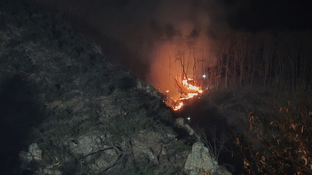 능선따라 번지는 금산 산불