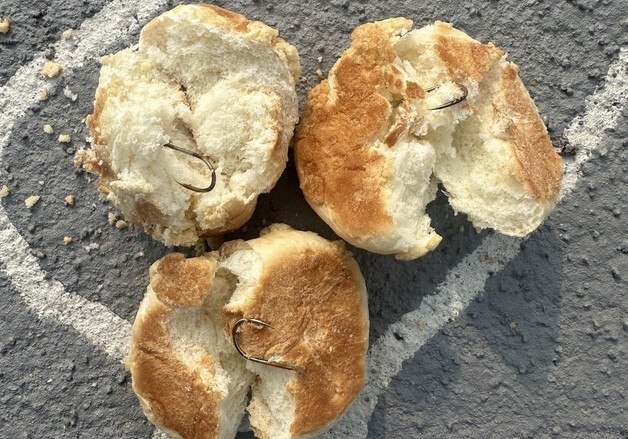 '누가 이런 짓을' 반려견 놀이터에 낚시바늘 박힌 빵…견주들 공분