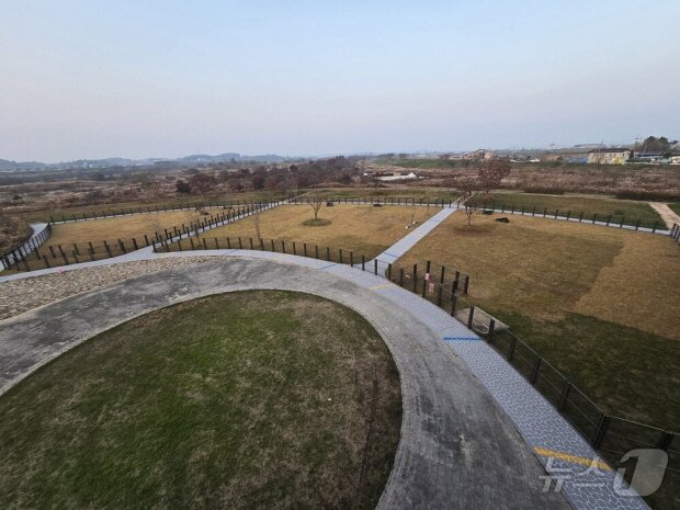 본문 이미지 - 나주시가 운영하는 반려견놀이터. ⓒ 뉴스1