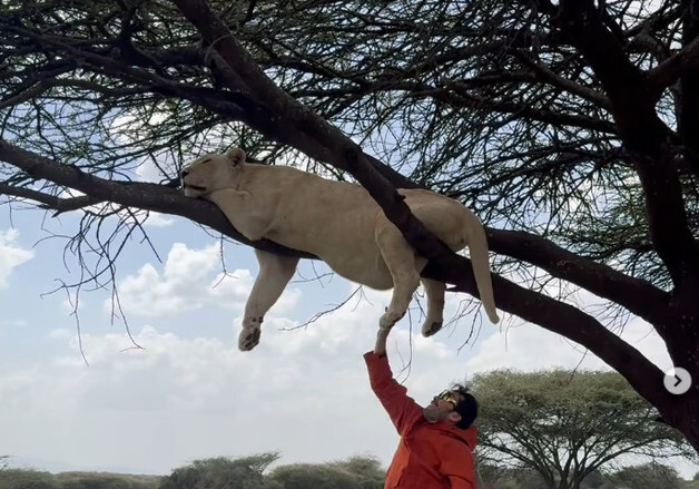 노홍철, 약 취한 사자와 인증샷?…"동물권 인식 낮아" vs "몰랐을 것" 갑론을박