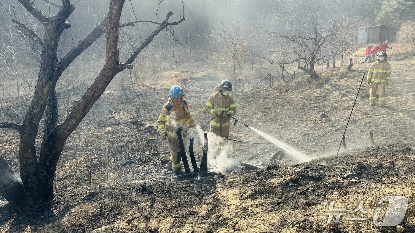 본문 이미지 - 15일 강원 강릉 주문진읍 교항리 산불 진화 현장.(강원도 산불방지대책본부 제공, 재판매 및 DB 금지) 2026.2.15/뉴스1