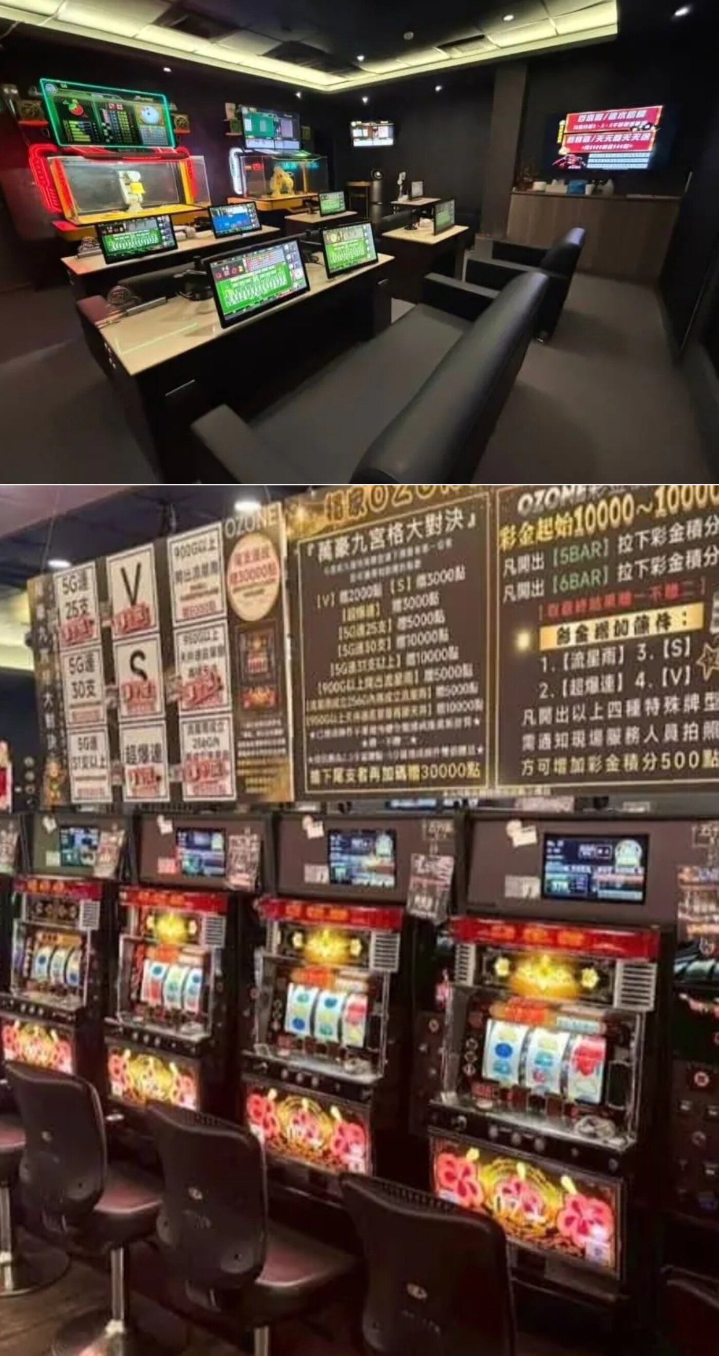 본문 이미지 - 뉴스1 제보 사진