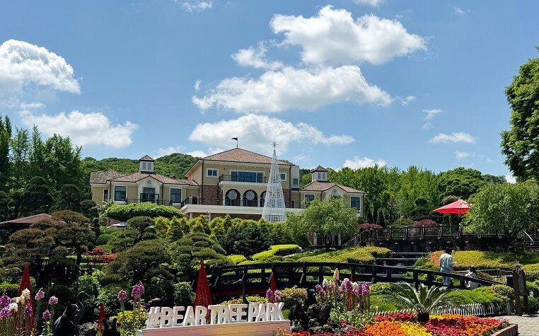 본문 이미지 - 베어트리파크 . (세종시 제공) / 뉴스1