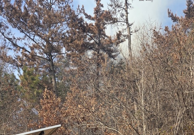 태안 근흥면서 산불…33분 만에 진화