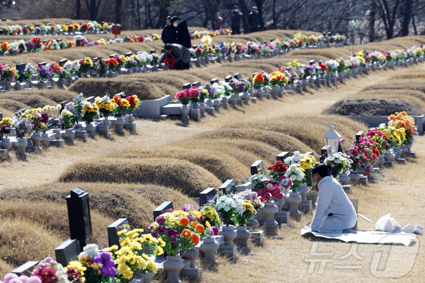 (파주=뉴스1) 박정호 기자 = 병오년 설날인 17일 낮 경기도 파주시 동화경모공원을 찾은 성묘객들이 가족의 묘를 찾아 성묘를 하고 있다.  2026.2.17/뉴스1