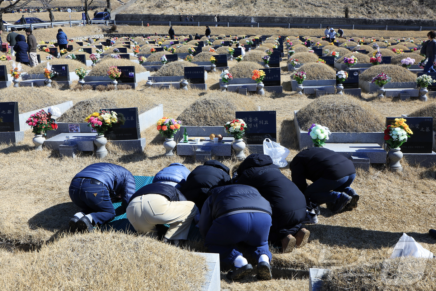 (파주=뉴스1) 박정호 기자 = 병오년 설날인 17일 낮 경기도 파주시 동화경모공원을 찾은 성묘객들이 가족의 묘를 찾아 성묘를 하고 있다.  2026.2.17/뉴스1