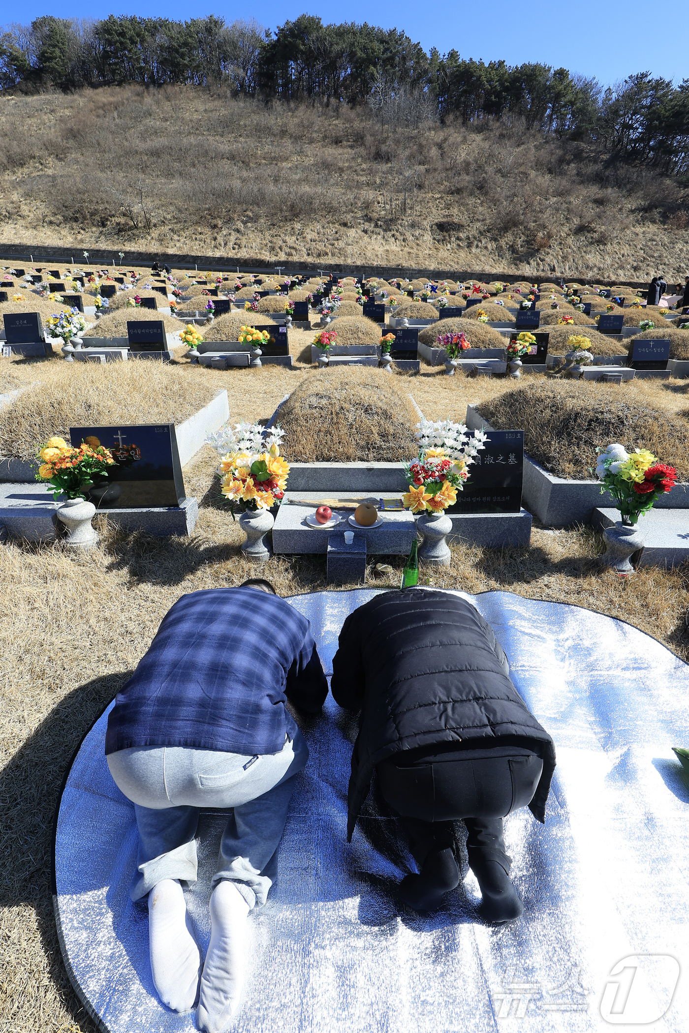 (파주=뉴스1) 박정호 기자 = 병오년 설날인 17일 낮 경기도 파주시 동화경모공원을 찾은 성묘객들이 가족의 묘를 찾아 성묘를 하고 있다.  2026.2.17/뉴스1