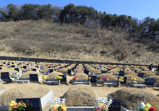 성묘하는 성묘객들