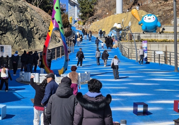 바다 보고 시장 돌고 성묘까지…설날 동해안 인파 '북적'