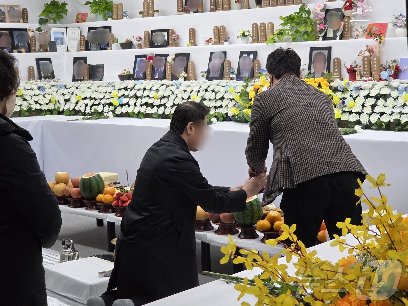 (무안=뉴스1) 전원 기자 = 17일 오전 전남 무안국제공항에서 12.29 제주항공 여객기 참사 희생자들을 기리는 합동 차례가 진행되고 있다. (유가족 협의회 제공. 재판매 및 D …