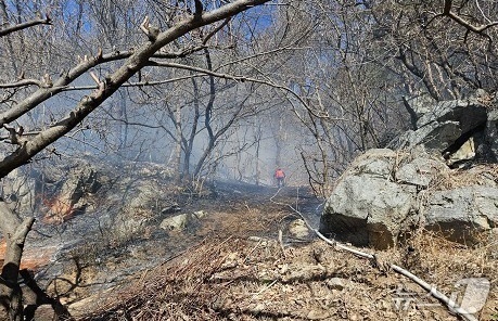설 연휴 전국 곳곳서 산불 잇따라…"불씨 관리 철저히"