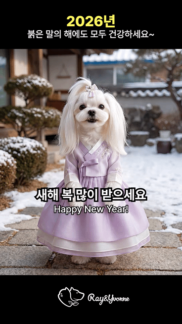 본문 이미지 - 세배 하는 강아지(한국반려동물영양연구소 제공) ⓒ 뉴스1