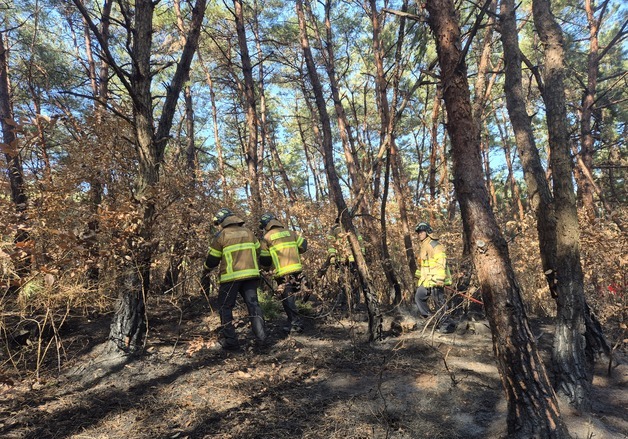 설날 대구·경북 산불 잇따라…"불법소각 행위 금지해 달라"