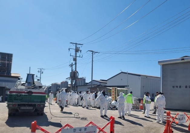 포천서 조류인플루엔자 발생…38만마리 살처분