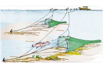 "어려운 수산용어 알기 쉽게 바꾼다"…해수부, 일본식·한자식 표현 순화