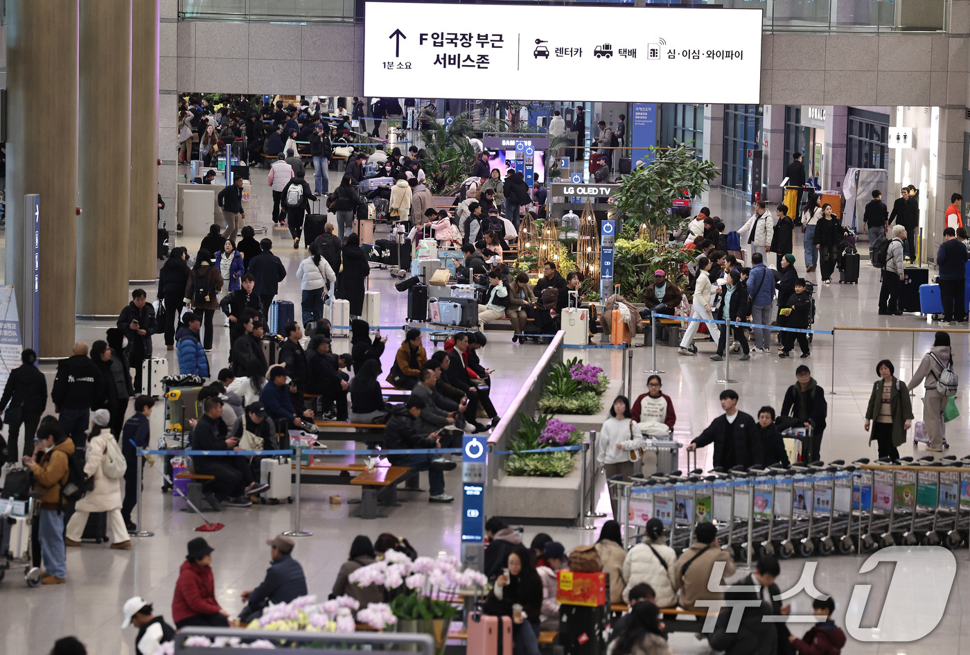 (인천공항=뉴스1) 구윤성 기자 = 설 연휴 마지막날인 18일 오후 인천국제공항 제1여객터미널 입국장이 해외여행객들로 북적이고 있다.앞서 인천공항은 설 연휴기간 인천공항을 통해 해 …