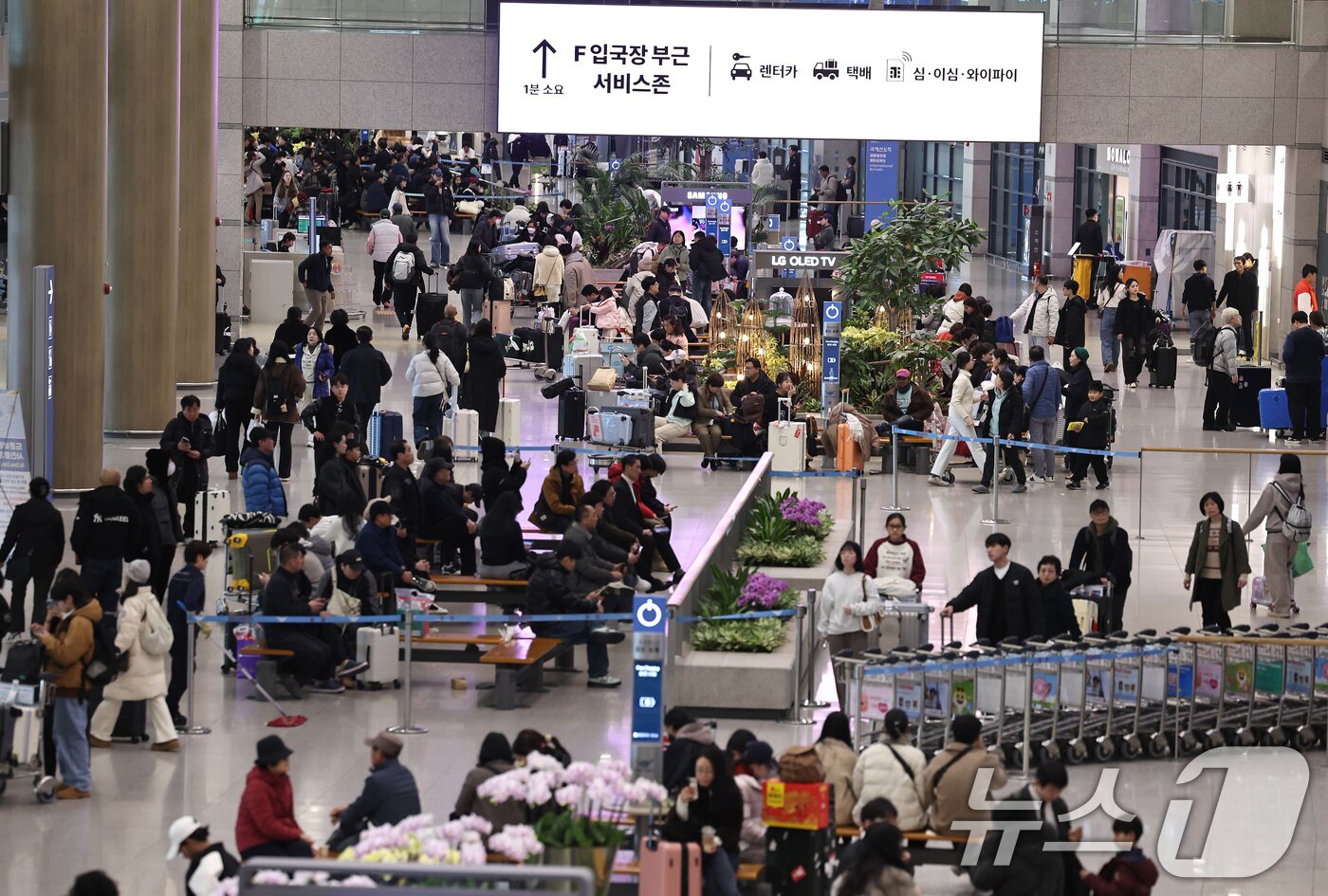 본문 이미지 - 인천국제공항 제1여객터미널 입국장 ⓒ 뉴스1 구윤성 기자