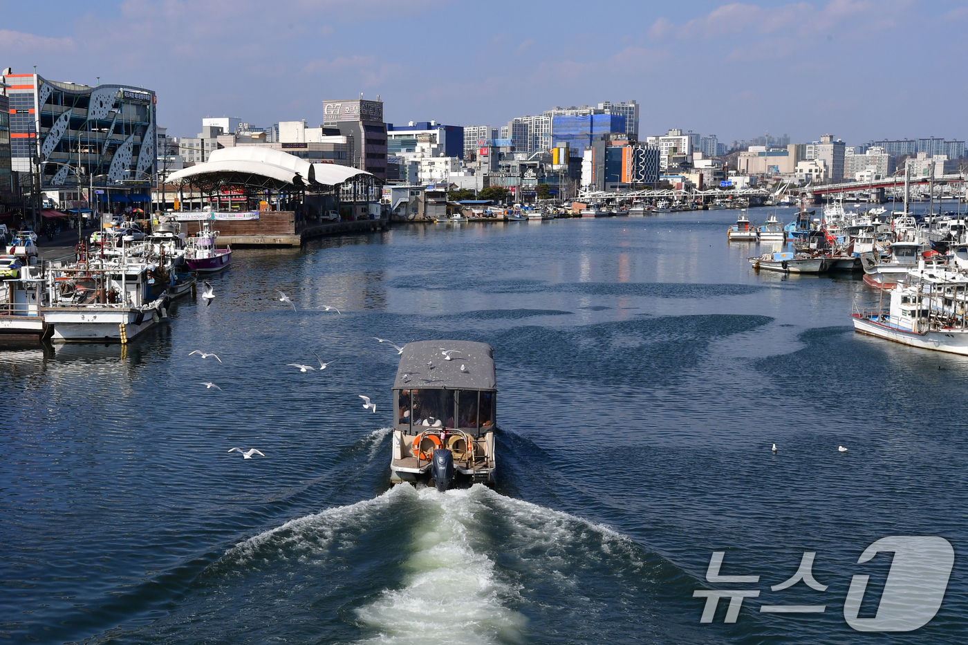 (포항=뉴스1) 최창호 기자 = 설연휴 마지막 날인 18일 경북 포항운하에서 관광객들이 유람선을 타고 휴일을 즐기고 있다. 2026.2.18/뉴스1