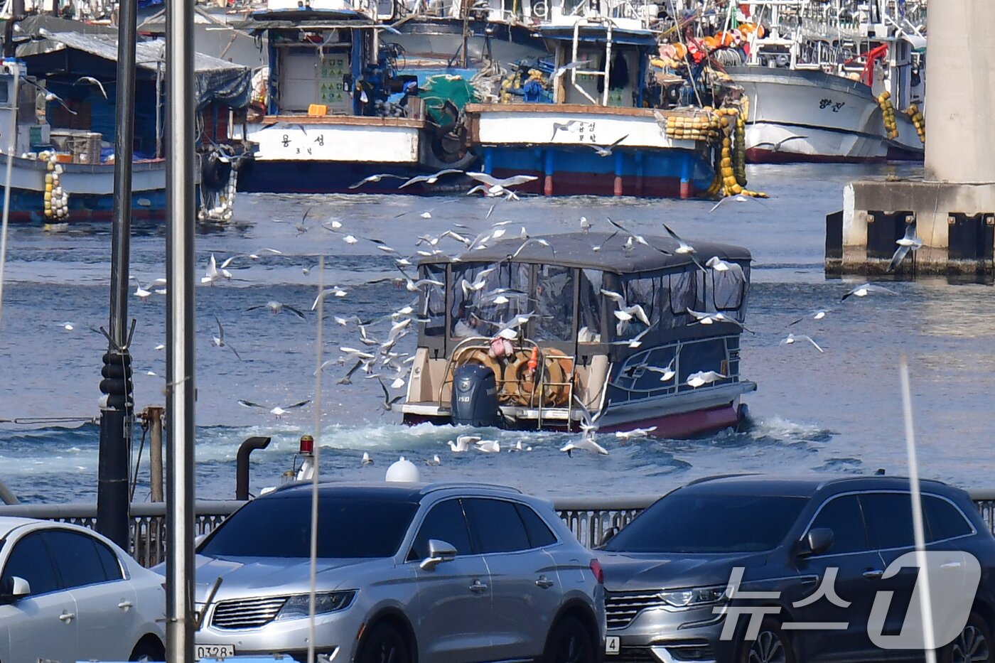 본문 이미지 - 설연휴 마지막 날인 18일 경북 포항운하에서 관광객들이 유람선을 타고 휴일을 즐기고 있다. 2026.2.18 ⓒ 뉴스1 최창호 기자