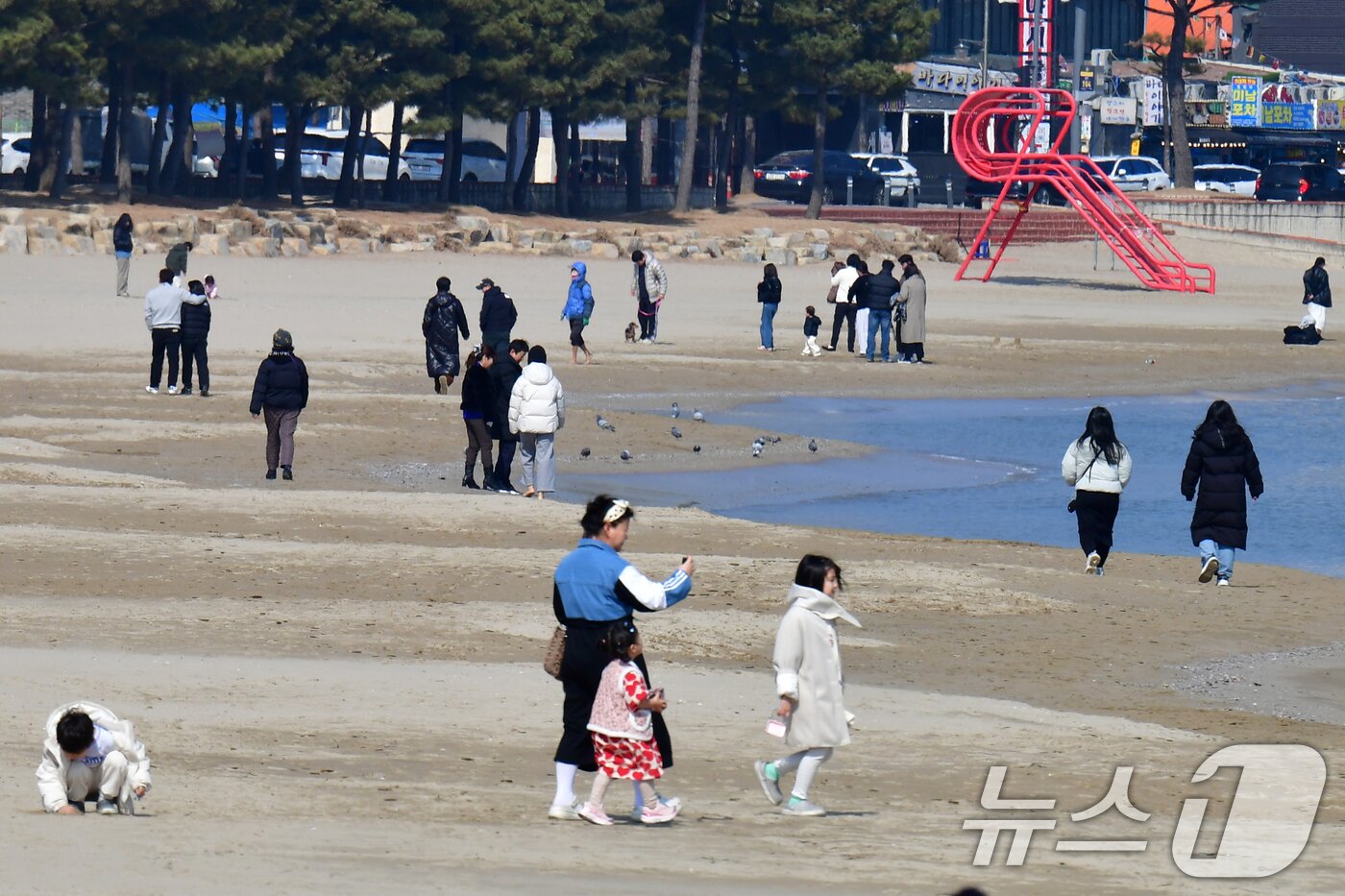 본문 이미지 - 설 연휴 마지막 날인 18일 경북 포항시 영일대해수욕장 백사장에서 시민들과 관광객들이 휴일을 즐기고 있다. ⓒ 뉴스1 최창호 기자