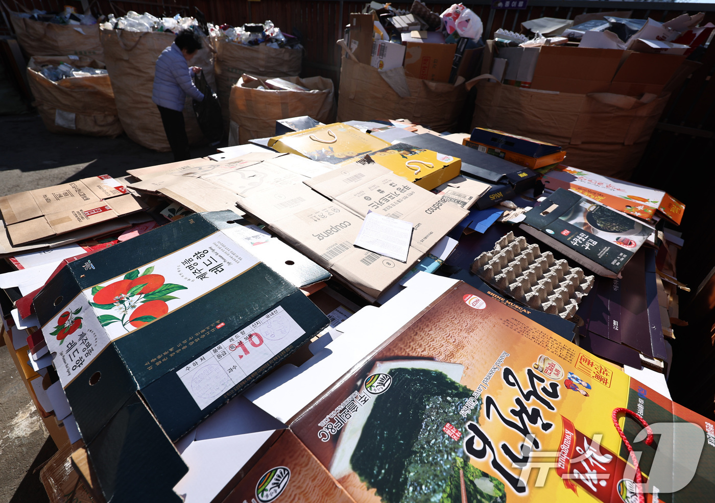 (서울=뉴스1) 구윤성 기자 = 설 연휴 마지막날인 18일 오후 서울의 한 아파트 분리수거장에 명절 기간 동안 배출된 명절 선물 포장재 등 쓰레기가 쌓여 있다. 2026.2.18/ …