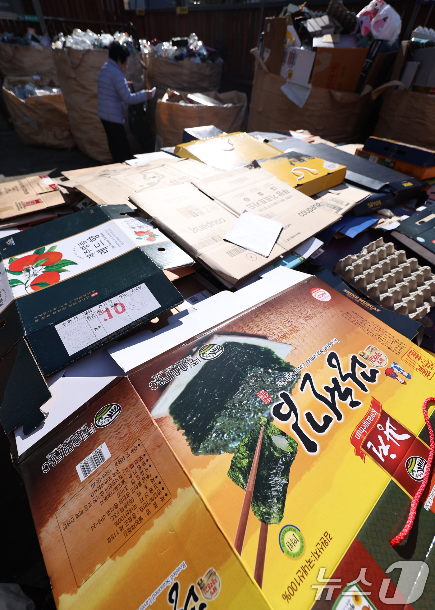 (서울=뉴스1) 구윤성 기자 = 설 연휴 마지막날인 18일 오후 서울의 한 아파트 분리수거장에 명절 기간 동안 배출된 명절 선물 포장재 등 쓰레기가 쌓여 있다. 2026.2.18/ …