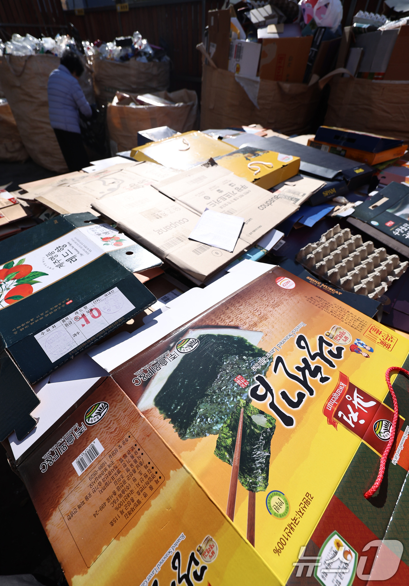 (서울=뉴스1) 구윤성 기자 = 설 연휴 마지막날인 18일 오후 서울의 한 아파트 분리수거장에 명절 기간 동안 배출된 명절 선물 포장재 등 생활폐기물들이 쌓여 있다. 2026.2. …