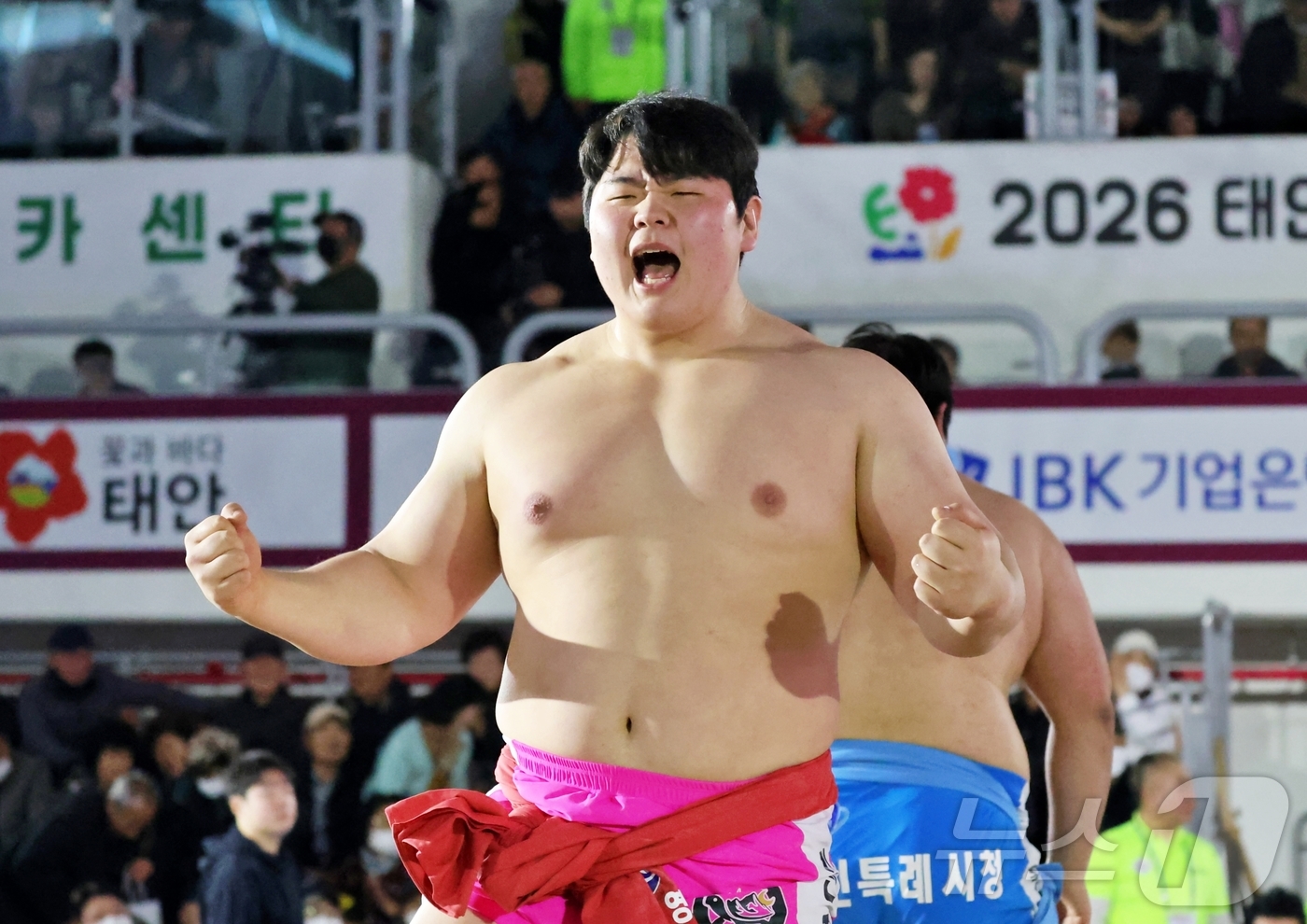 (서울=뉴스1) = 18일 충청남도 태안군 태안종합실내체육관에서 열린 ‘위더스제약 2026 태안설날장사씨름대회’ 백두장사(140kg이하)에 등극한 김민재(영암군민속씨름단)가 우승 …