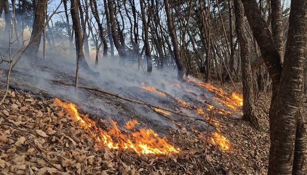 금산 백마산서 진화된 산불 또 재발화…'담배꽁초 원인'