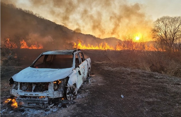 영천 금호읍 하천서 승용차 전소…"야산 확산 차단"