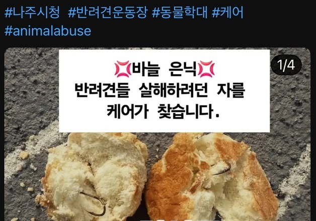 "이 인간 반드시 잡는다"…반려견에 '낚싯바늘 빵' 미끼, 현상금 걸었다