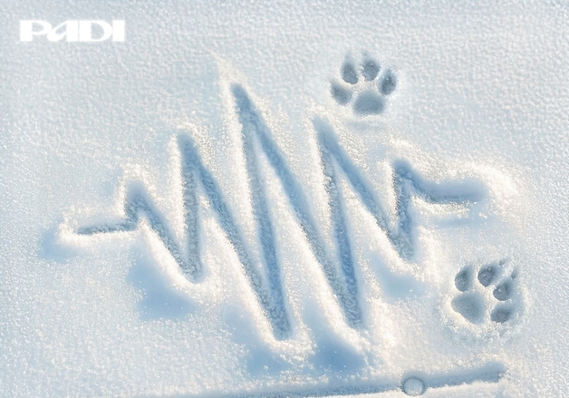 '스모크' 프로듀서 페디, 23일 첫 EP '프레스 윈터' 발매