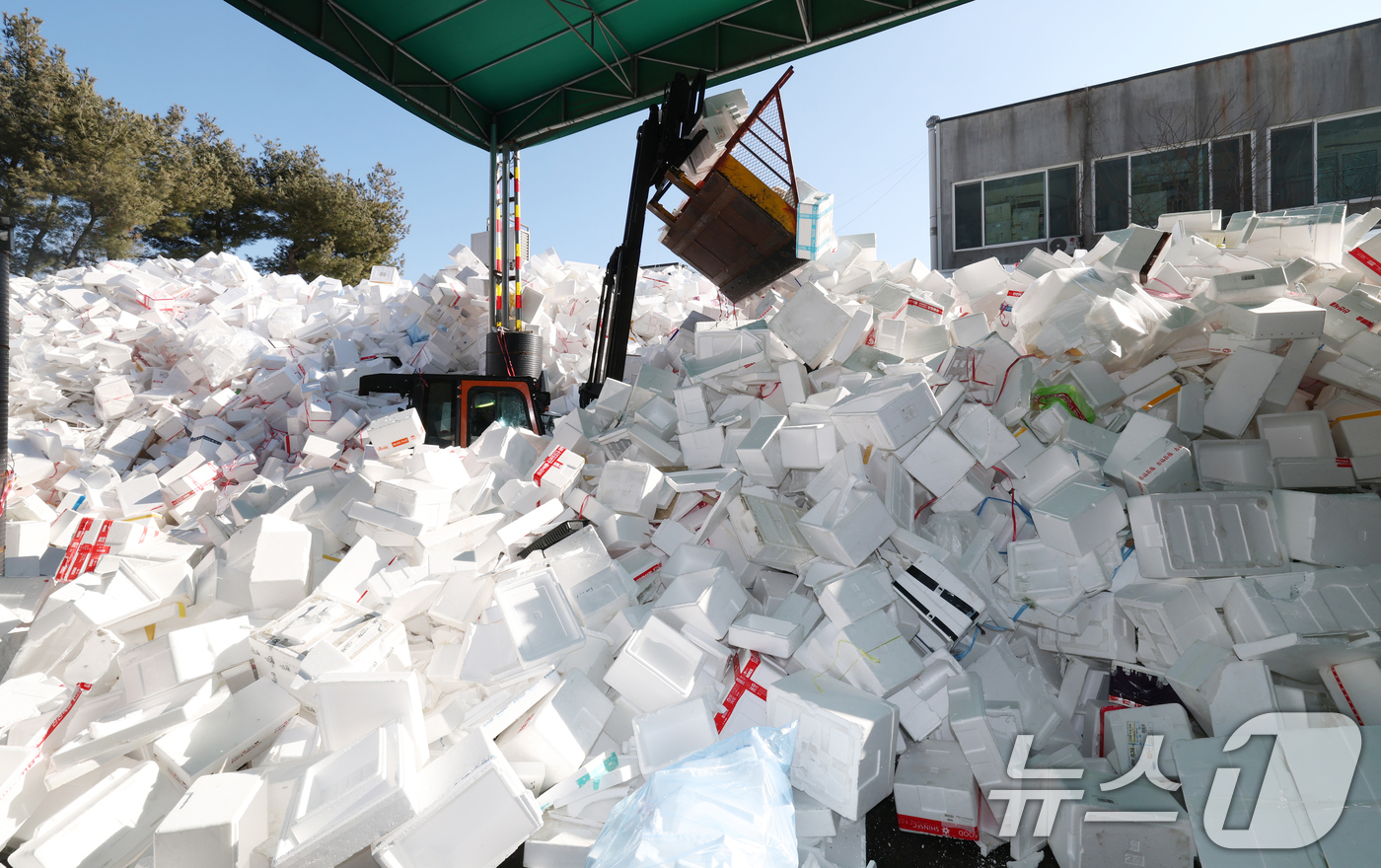(용인=뉴스1) 김영운 기자 = 설 연휴가 끝난 19일 경기 용인시 처인구 이동읍공공재활용센터에서 관계자들이 스티로폼 분류 작업을 하고 있다. 2026.2.19/뉴스1
