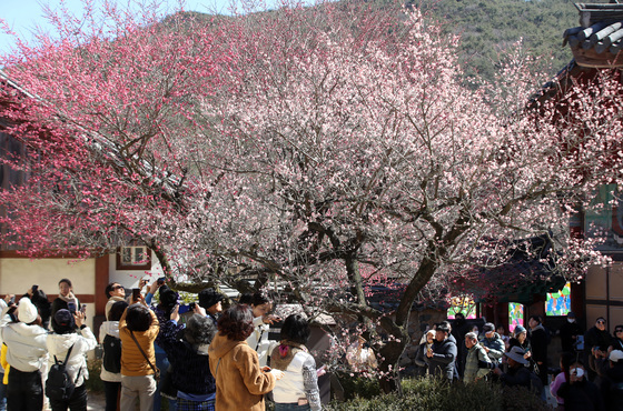 '밀양 23.2도' 경남 9개 시·군·구 2월 최고기온 극값 경신